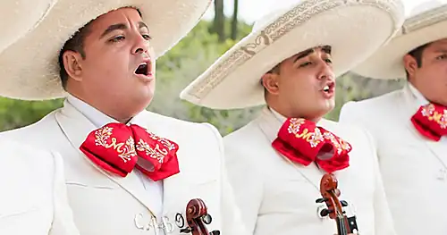 Mariachi en Los Cabos, negocios en Los Cabos, Baja California Sur