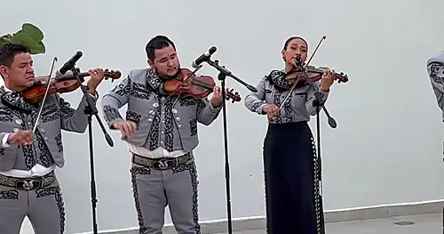 Mariachi Occidental de Mazatlán Sinaloa, negocios en Mazatlán, Sinaloa