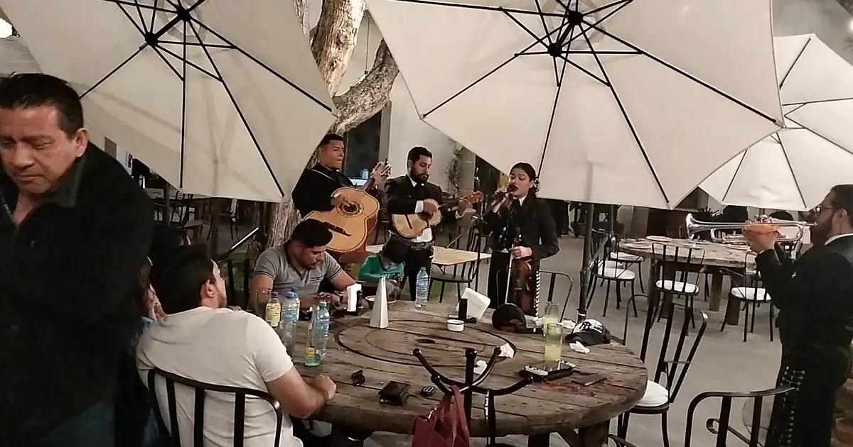 Mariachi Los Gallos SLP