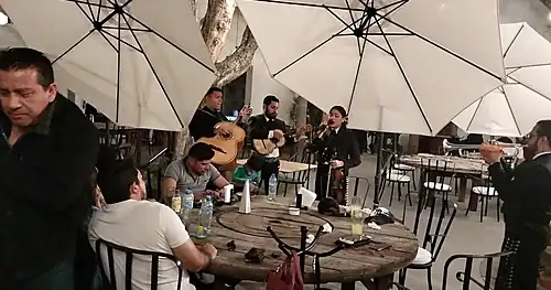 Mariachi Los Gallos SLP, negocios en San Luis Potosí, San Luis Potosí