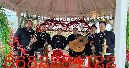 Mariachi Arrieros de Matamoros, negocios en Matamoros, Tamaulipas