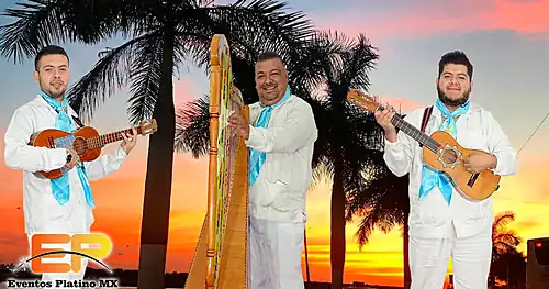 Grupos Jarochos CDMX | Trio Jarocho CDMX | Jarochos Ciudad De México, negocios en Coyoacán, Ciudad de México