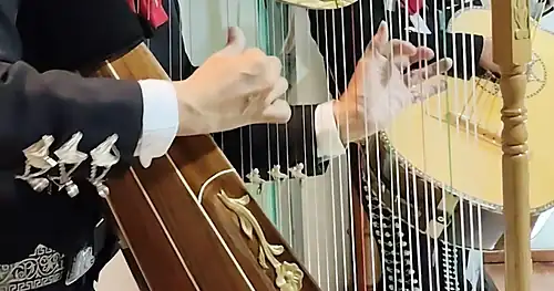 Mariachis en CDMX | Mariachi México de Noche de Plaza Garibaldi |, negocios en Cuauhtémoc, Ciudad de México