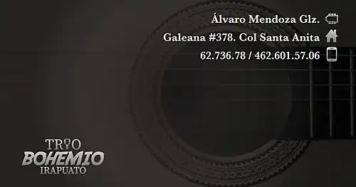 TRIO BOHEMIO DE IRAPUATO., negocios en Irapuato, Guanajuato