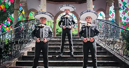 Colibrí Trío Musical, Trimariachi y Mariachi, negocios en Guadalajara, Jalisco