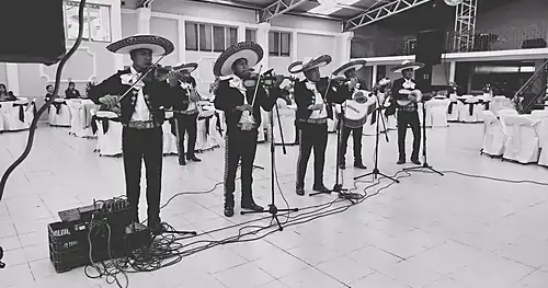 Mariachi profesional Lerma Ocoyoacac los encinos san mateo atenco metepec toluca zinacantepec alrededores, negocios en Toluca, Estado de México