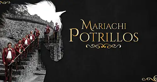 Mariachi Potrillos, negocios en Tulancingo, Hidalgo