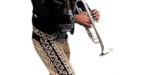 mariachi morelia express, negocios en Morelia, Michoacán