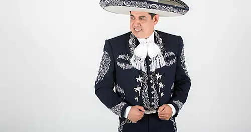 MARIACHI ALMA RANCHERA, negocios en Veracruz, Veracruz